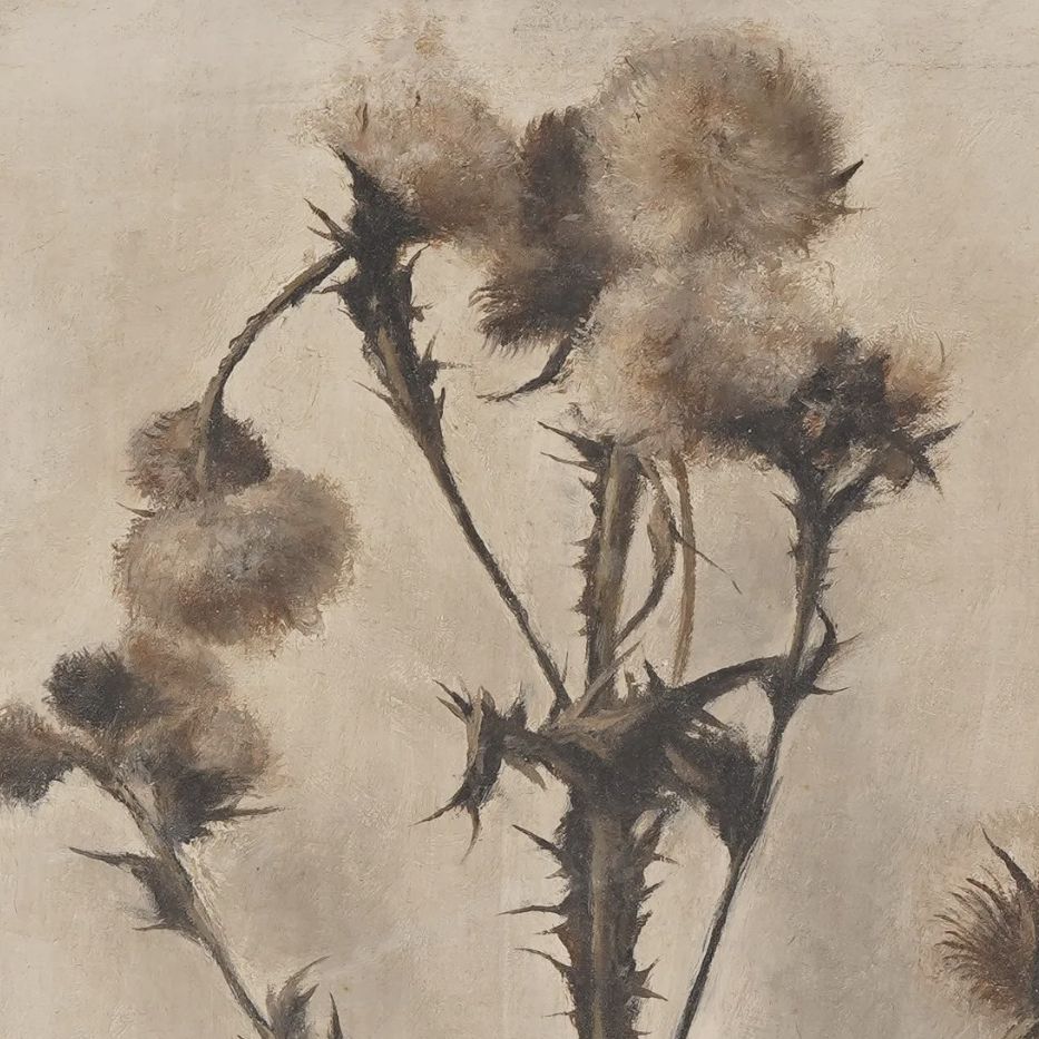 Toshio Bando, dessin