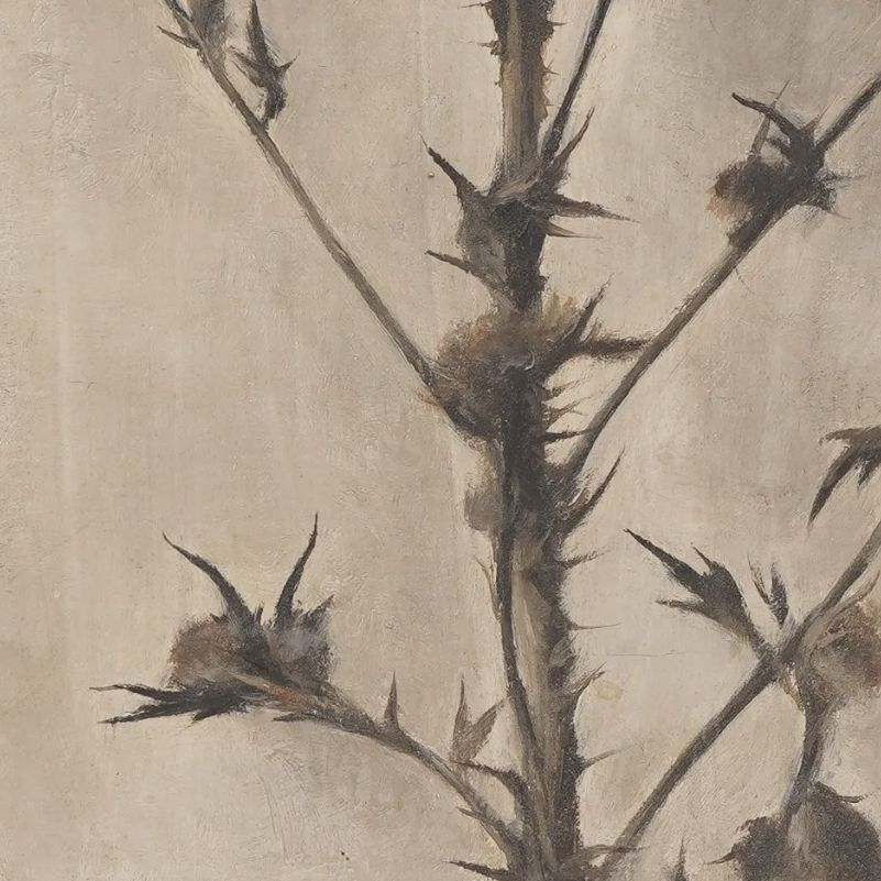 Toshio Bando, dessin