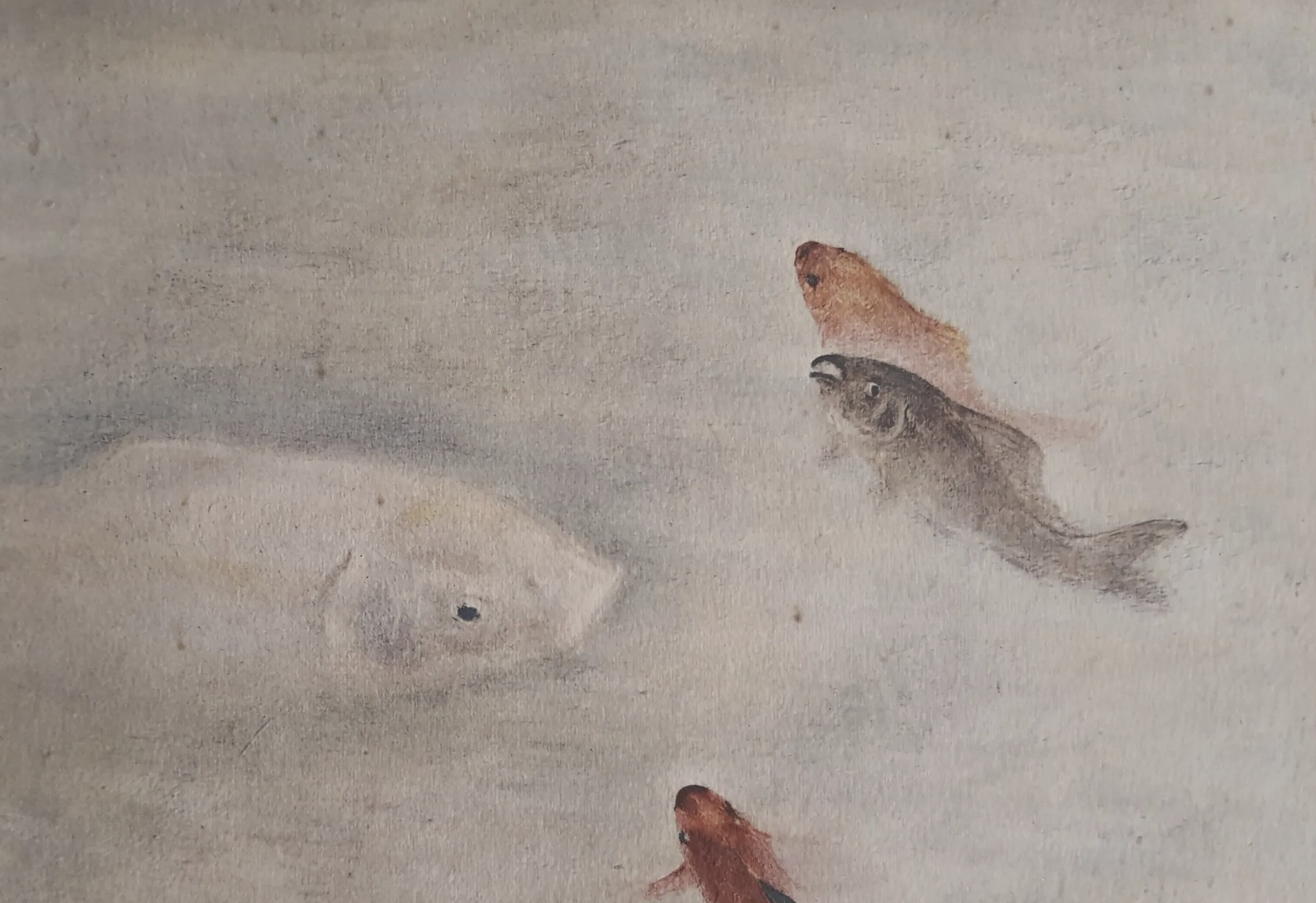 Toshio Bando, dessin