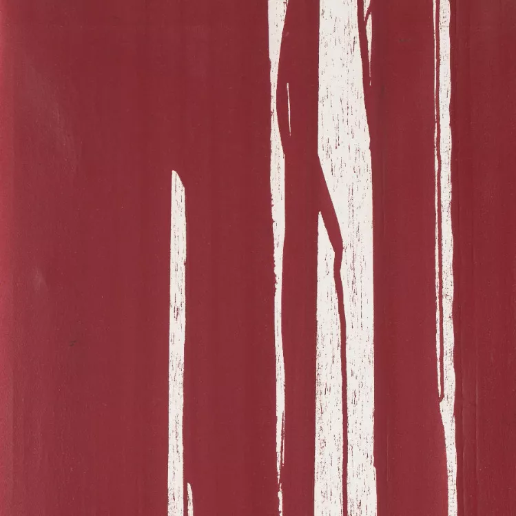 Hermann Nitsch, s&eacute;rigraphie