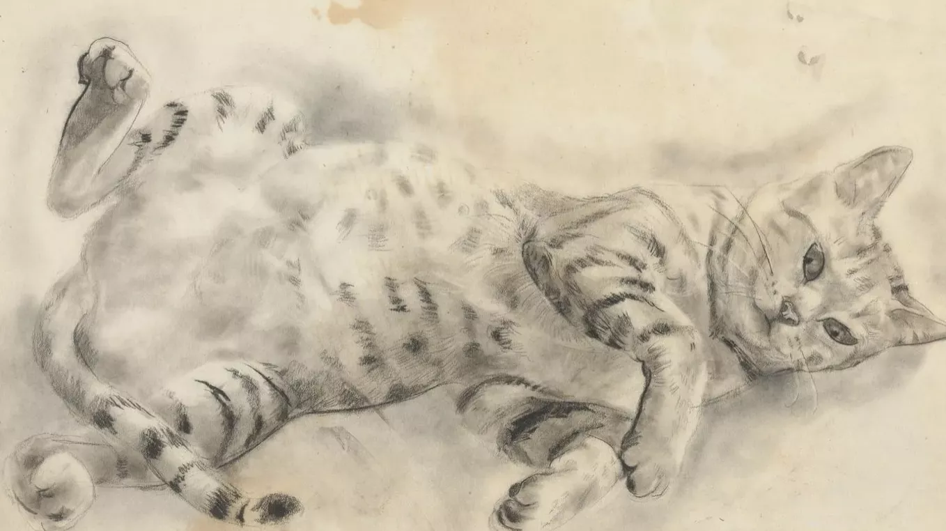 Alix Aymé, dessin