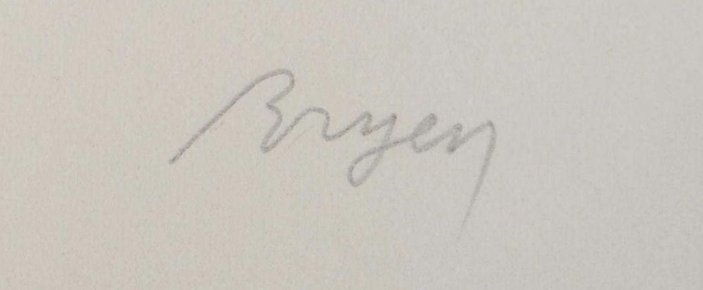 Signature de Camille Bryen