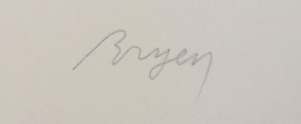 Signature de Camille Bryen