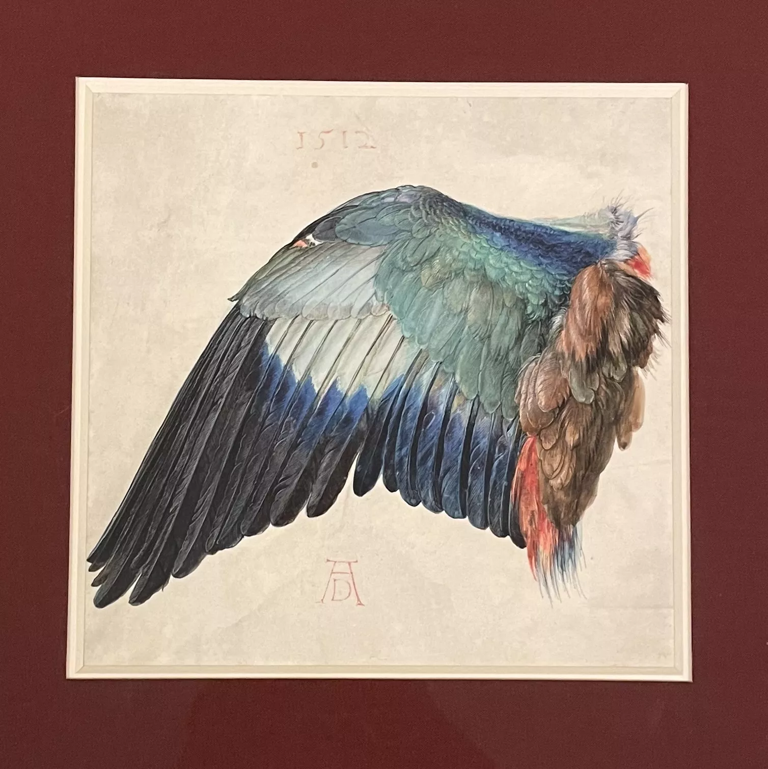 Dürer, &eacute;tude d'aile