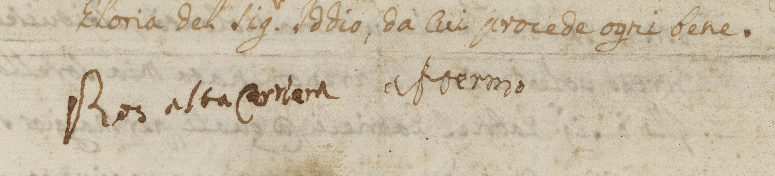 Signature de Rosalba Carriera