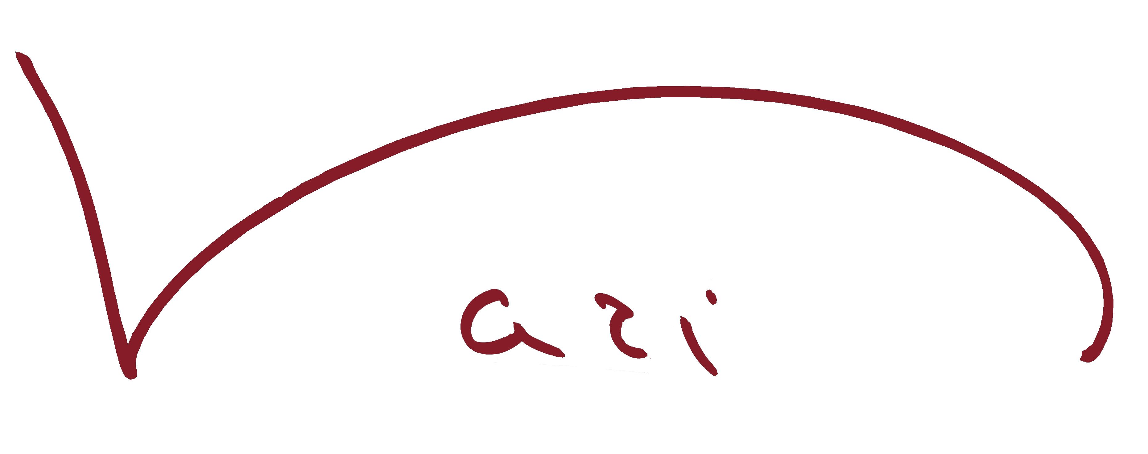 Signature de Sophia Vari