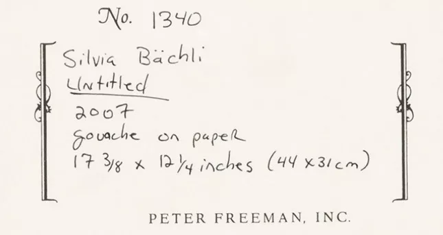Signature de Silvia Bächli
