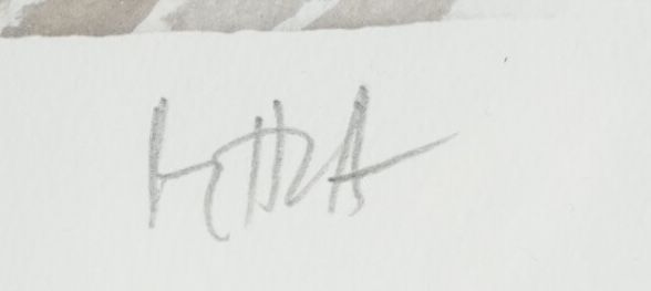 Signature de Sayed Haider Raza