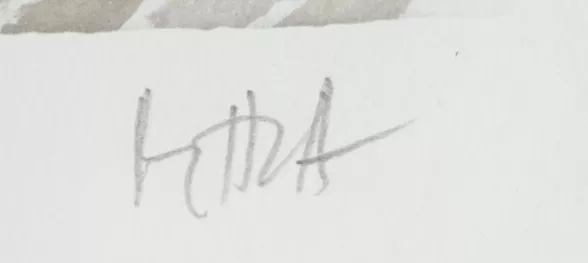 Signature de Sayed Haider Raza