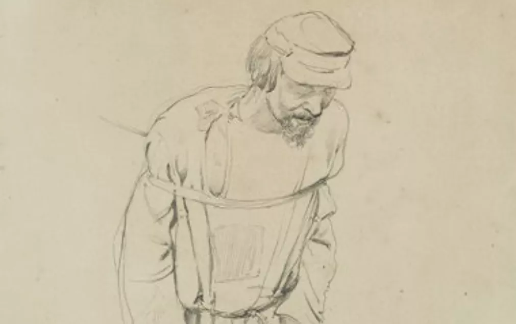 R&eacute;pine, dessin, crayon sur papier