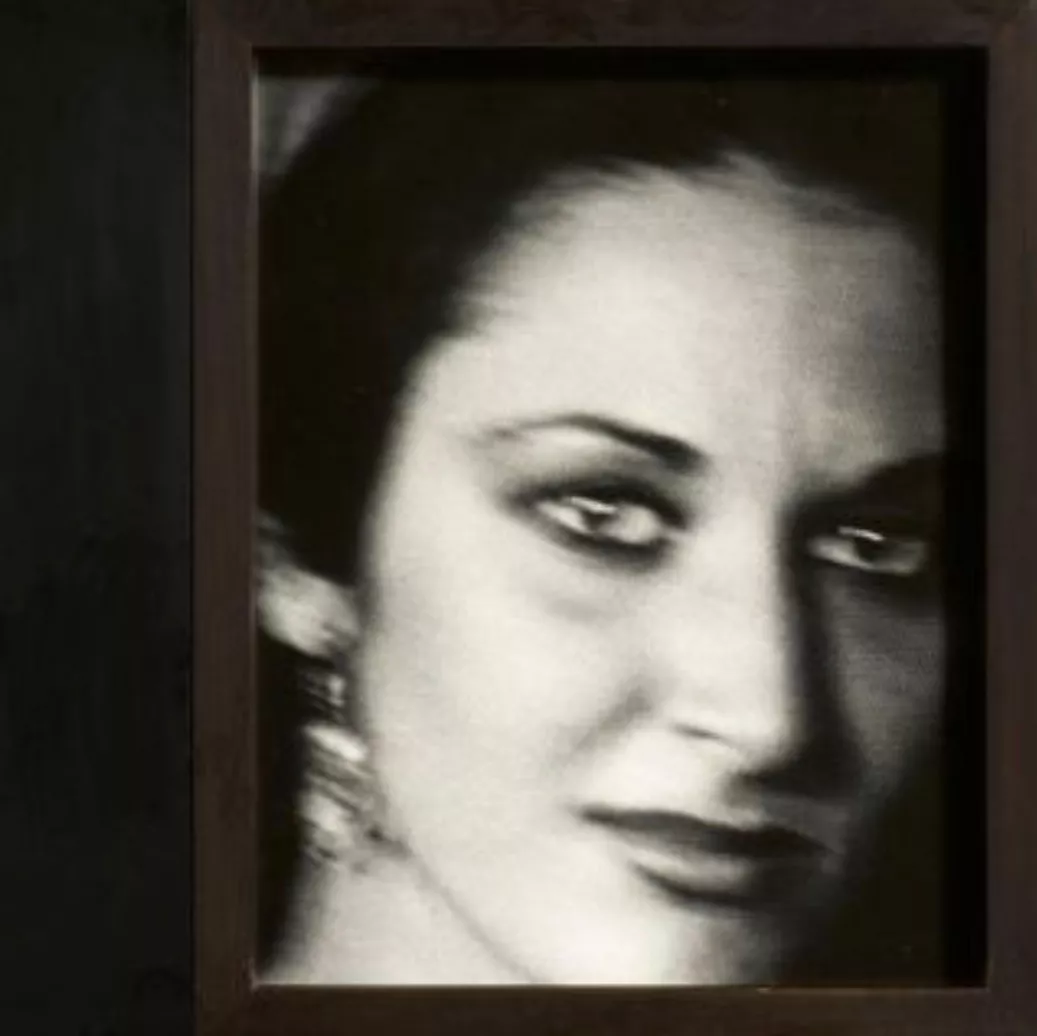 Marie Jo Lafontaine, travail photographique