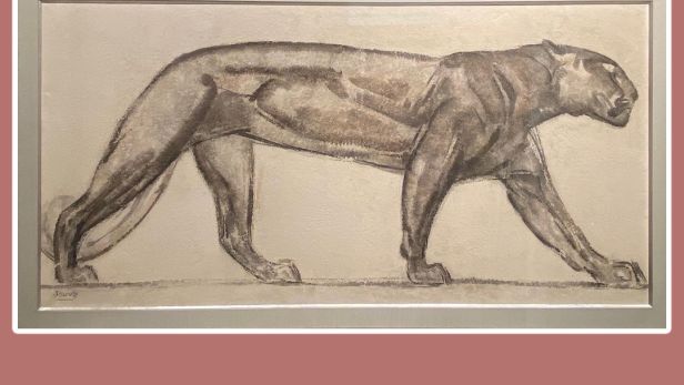 Photo Carre Paul Jouve