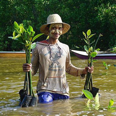 Femme Plantation Corpo