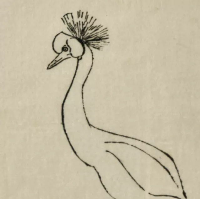 Anne Marie Profillet, dessin