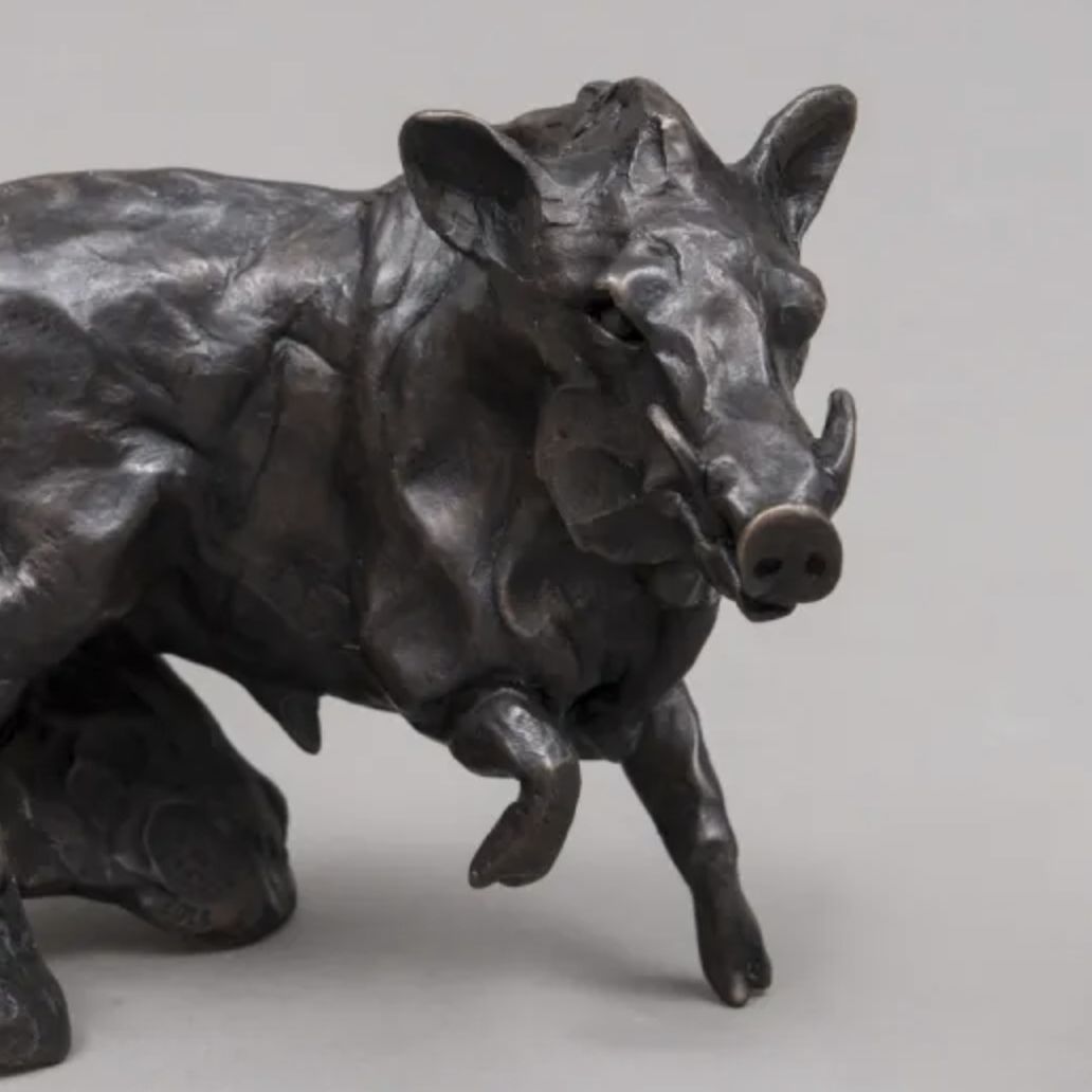 José Maria David, bronze