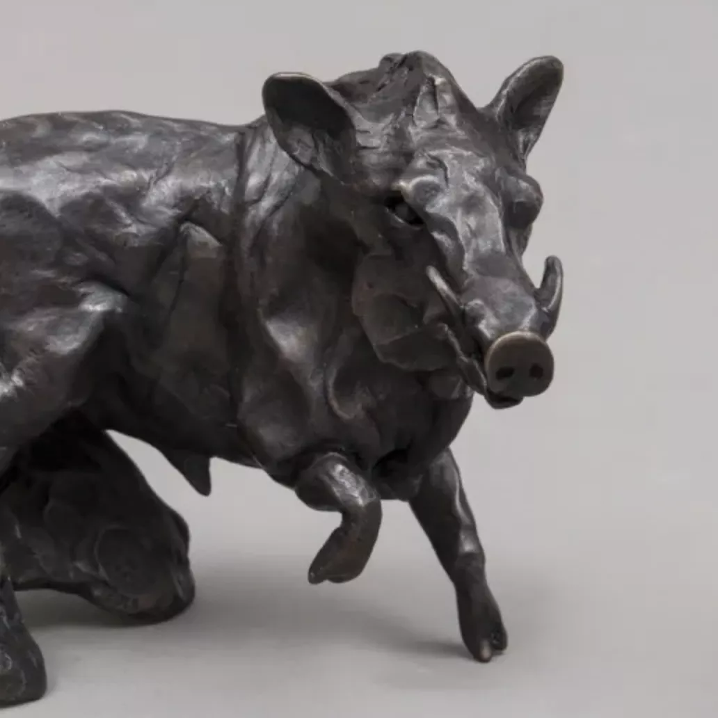 Jos&eacute; Maria David, bronze