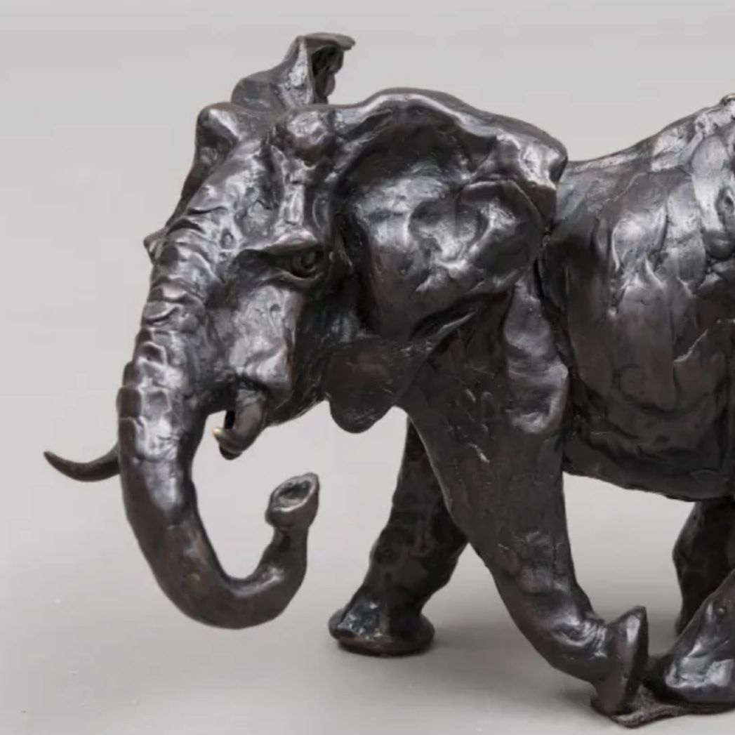 José Maria David, bronze