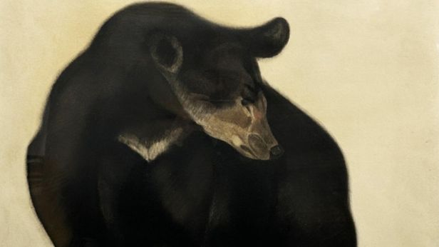 Georges Lucien GUYOT (1885-1972), Ours noir couché, Fusain sur papier