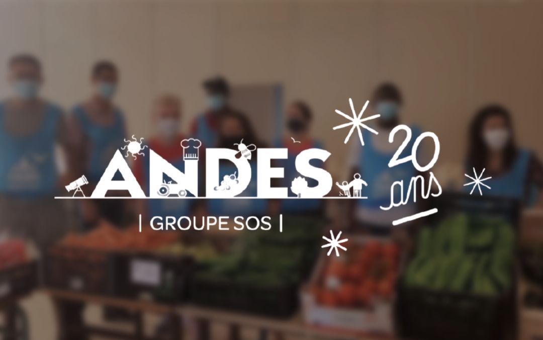 Sans Titre 3