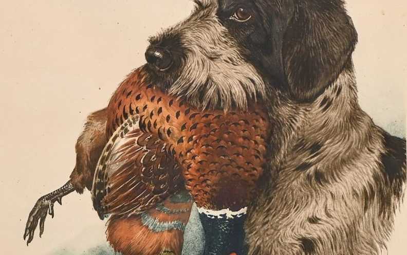 Boris Riabouschinsky, dessin