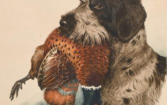 Boris Riabouschinsky, dessin