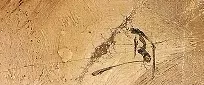 Signature de Vassili Polenov
