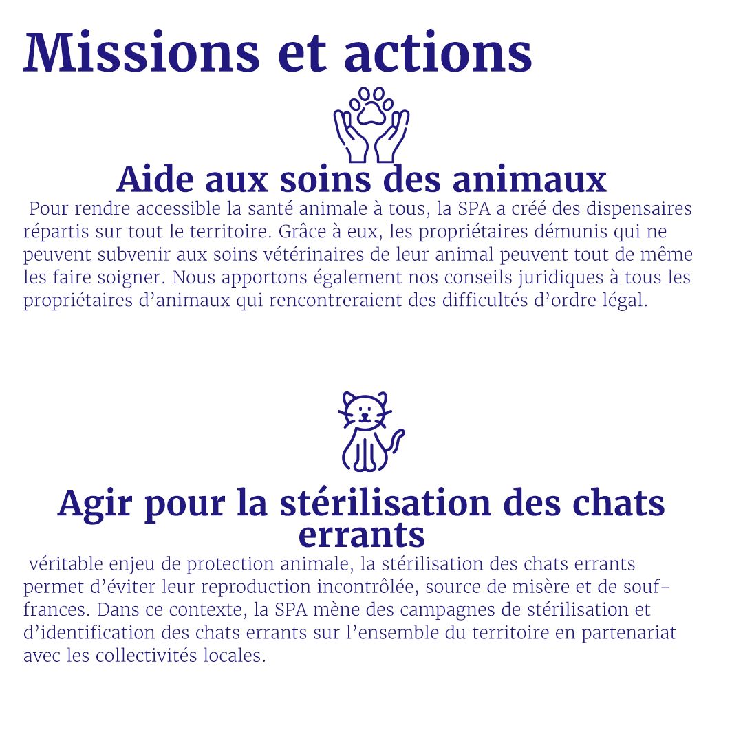 Plan De Travail 1 1