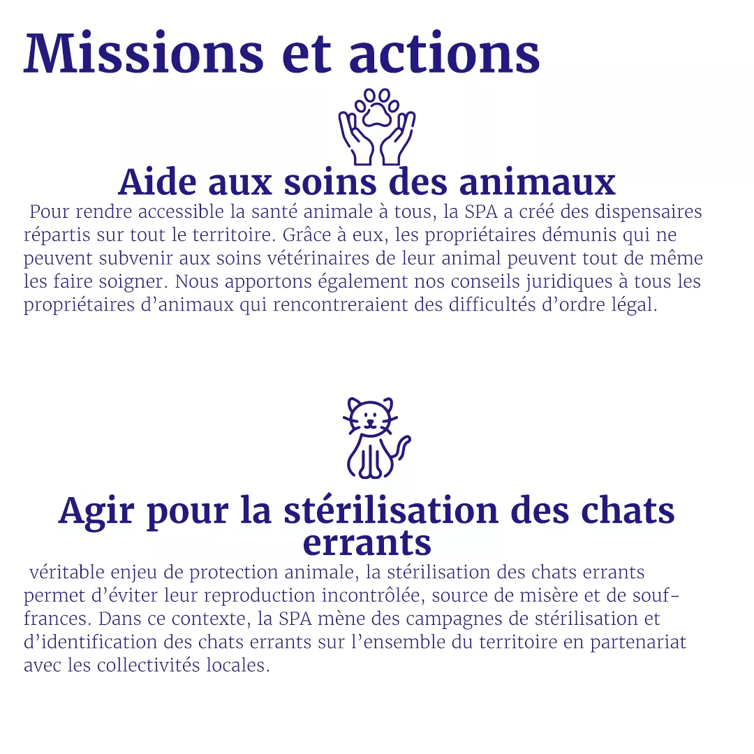 Plan De Travail 1 1