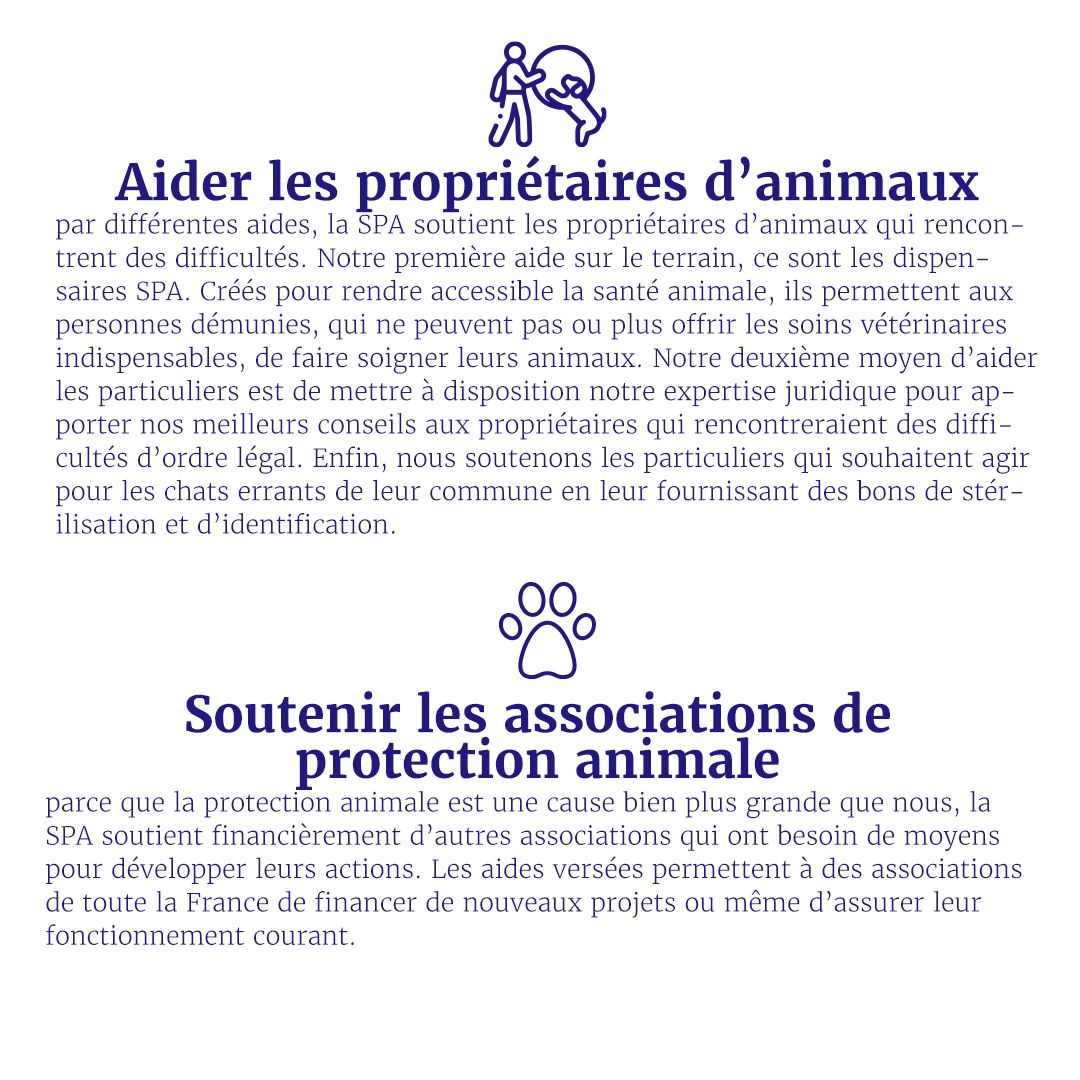Plan De Travail 1