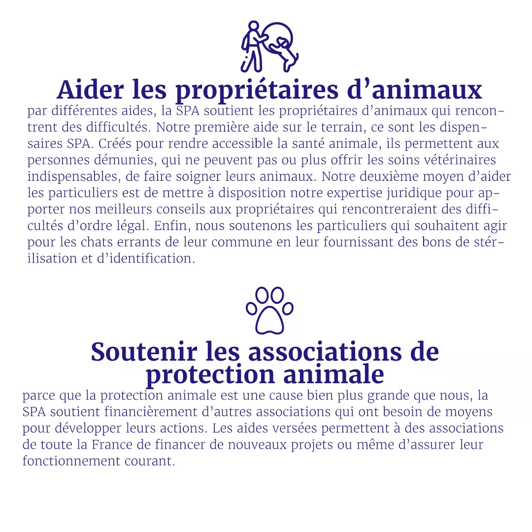 Plan De Travail 1