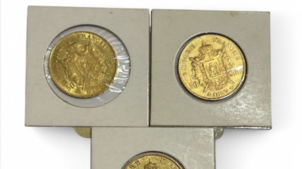 Ensemble de 10 monnaies de 20 Francs or (900)