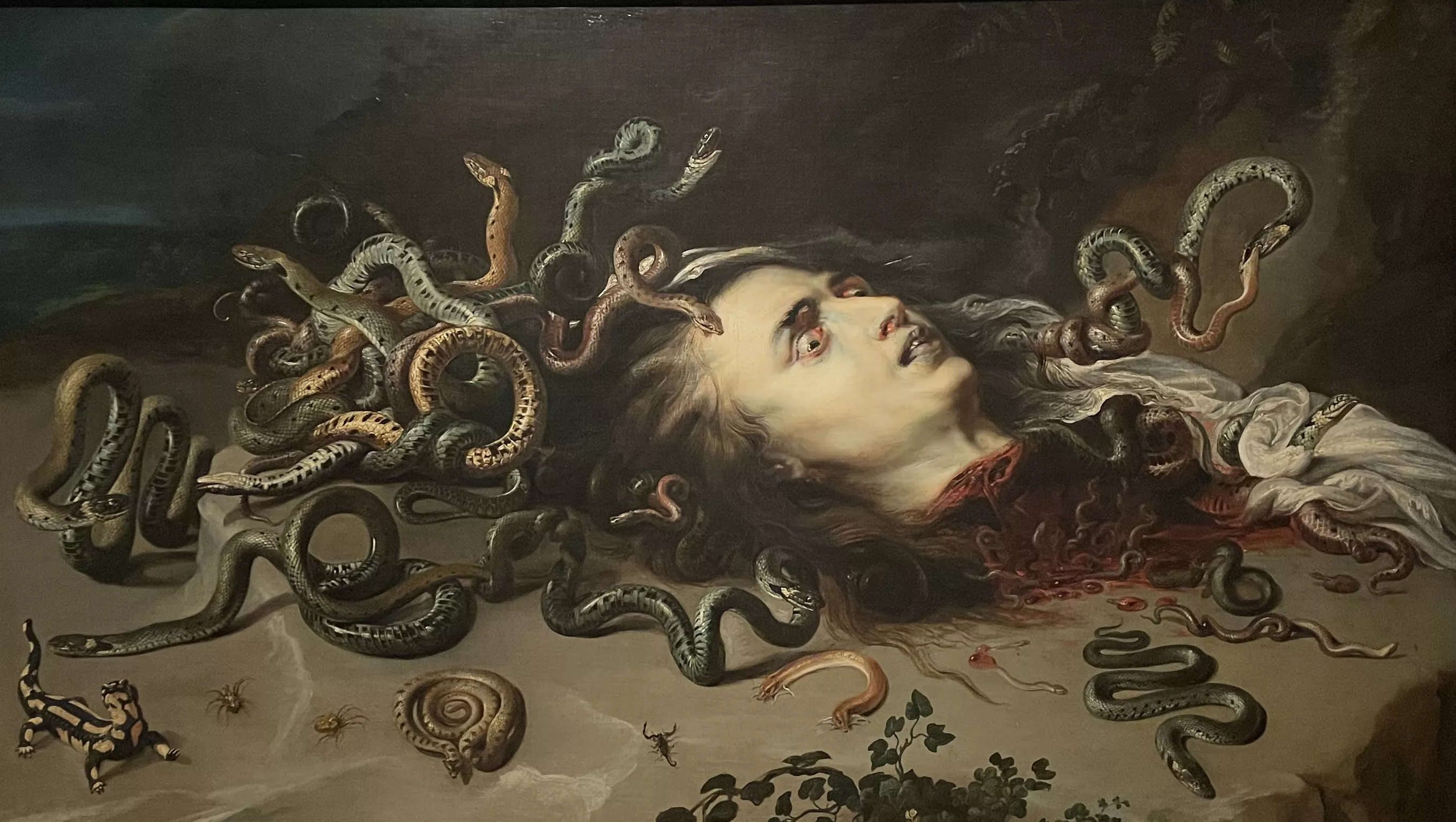 Rubens, t&ecirc;te de M&eacute;duse, huile sur toile