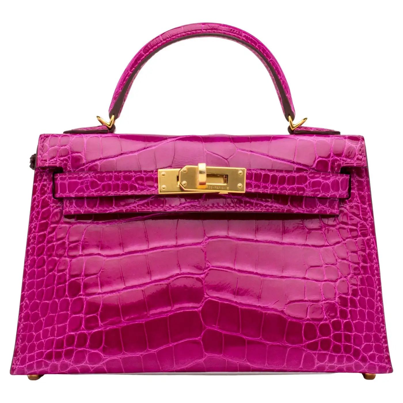 Kelly rose en aligator
