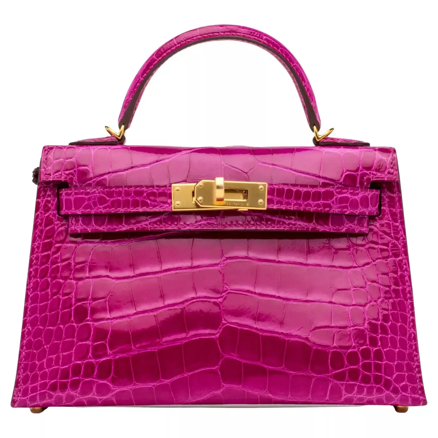 Kelly rose en aligator