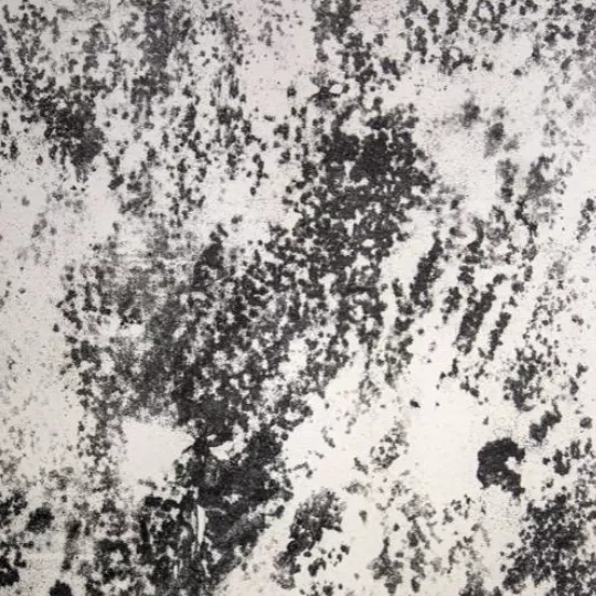 Jean Dubuffet, s&eacute;rigraphie