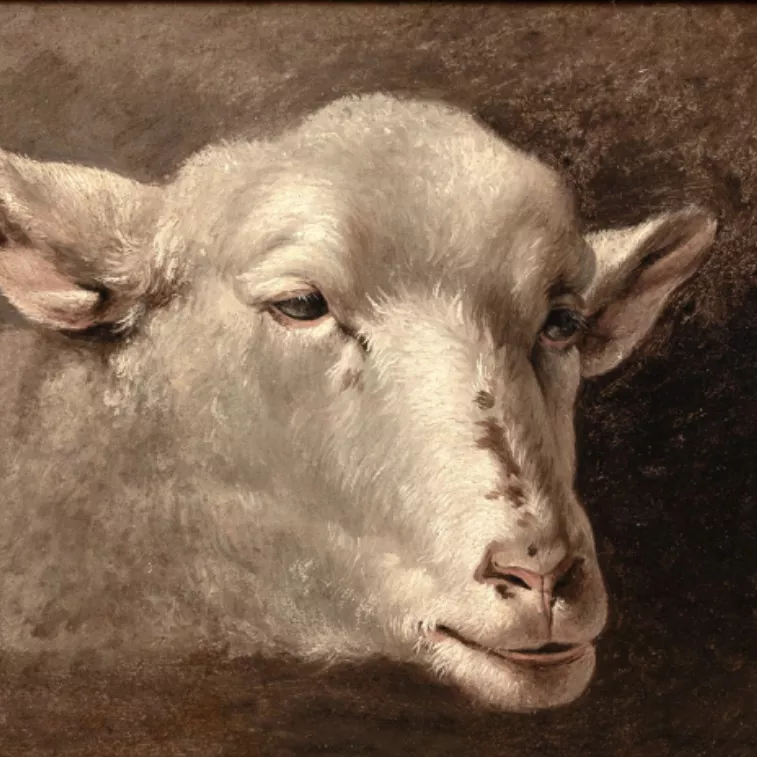 D'apr&egrave;s Rosa Bonheur, &eacute;tude d'agneau, huile sur toile