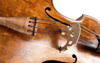 Violon