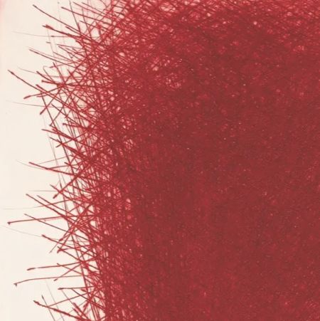 Arnulf Rainer, lithographie