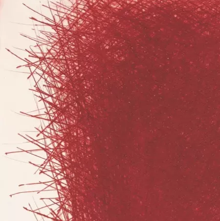 Arnulf Rainer, lithographie