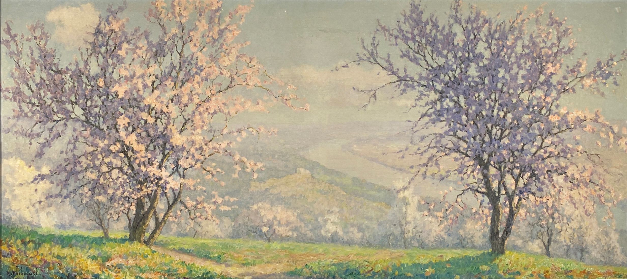 Raymond Thibesart, cerisiers en fleurs