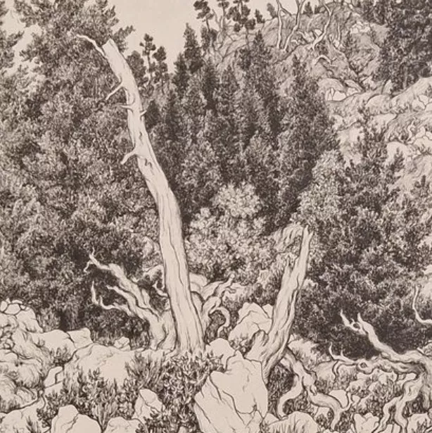 Georges Ribemont Dessaignes, lithographie