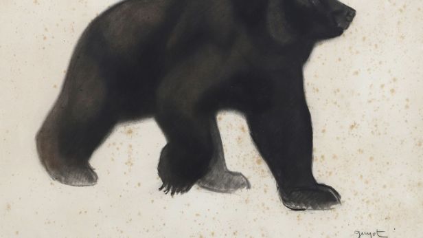 Georges Lucien GUYOT (1885-1972), Ours noir marchant, Fusain sur papier