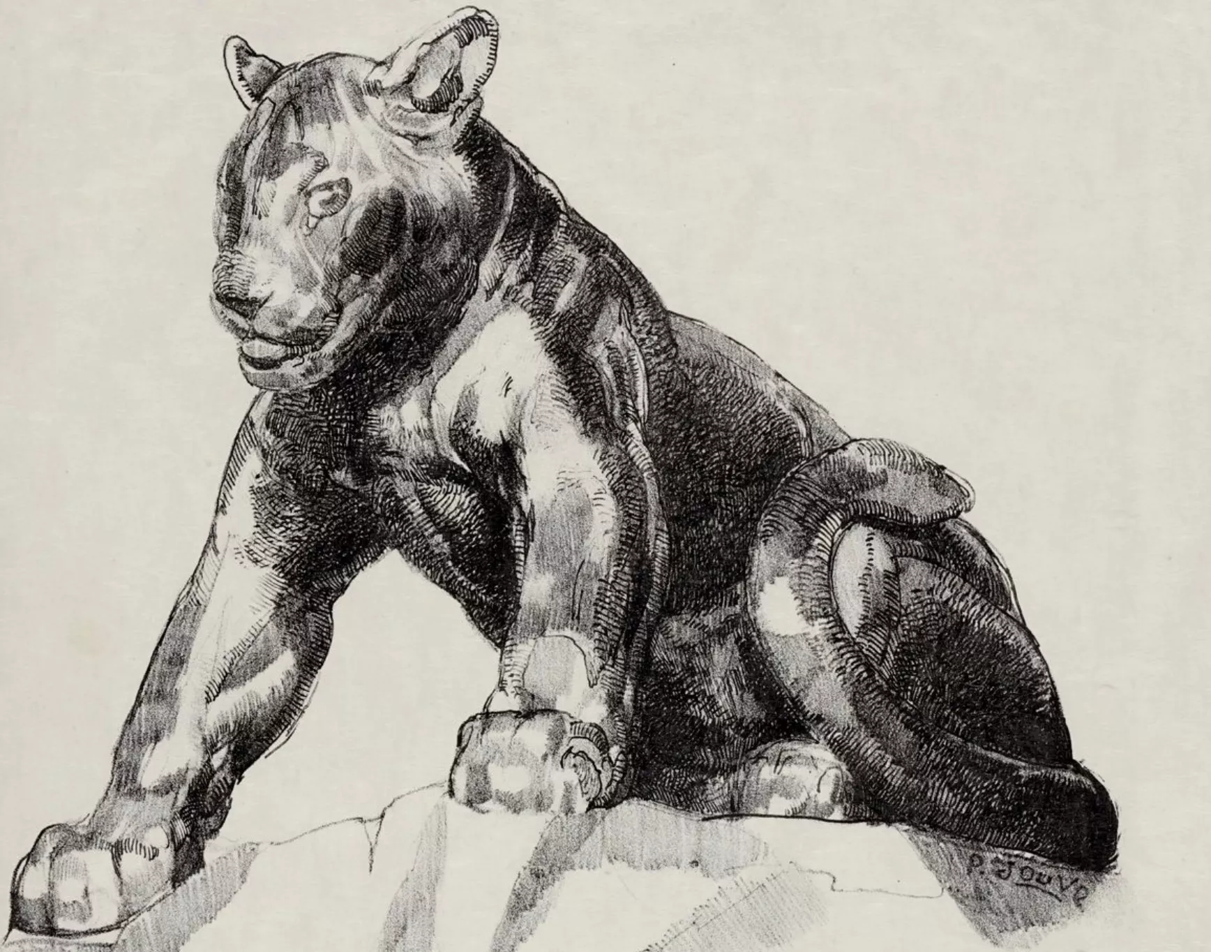 Paul Jouve, dessin