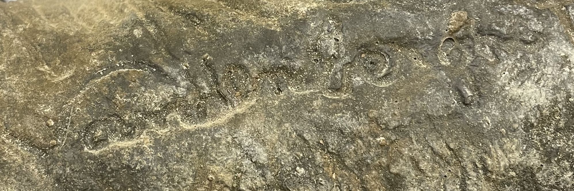 Signature de François Vandenberghe