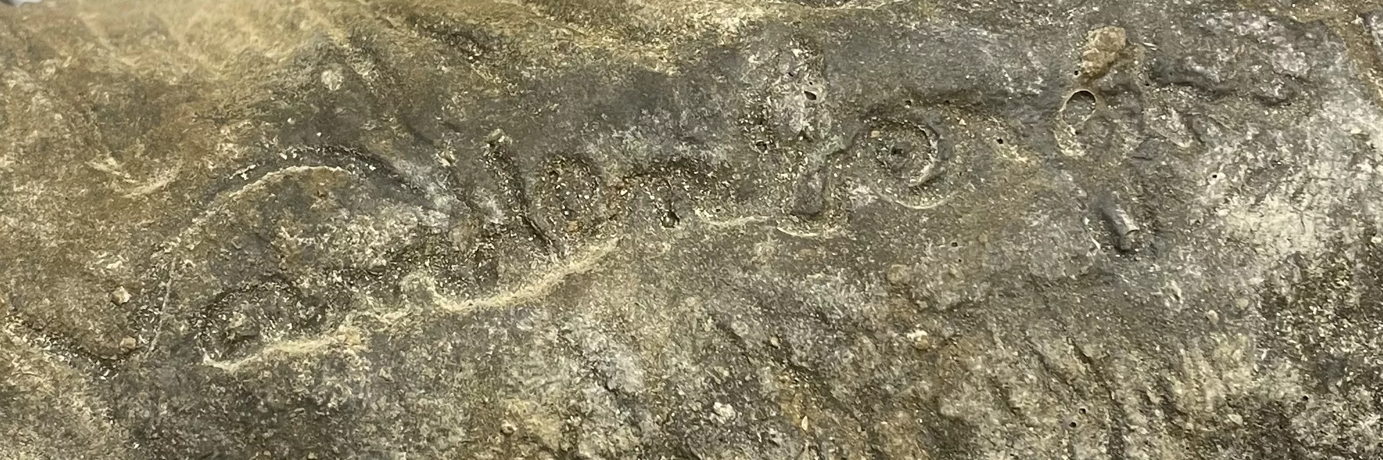 Signature de François Vandenberghe