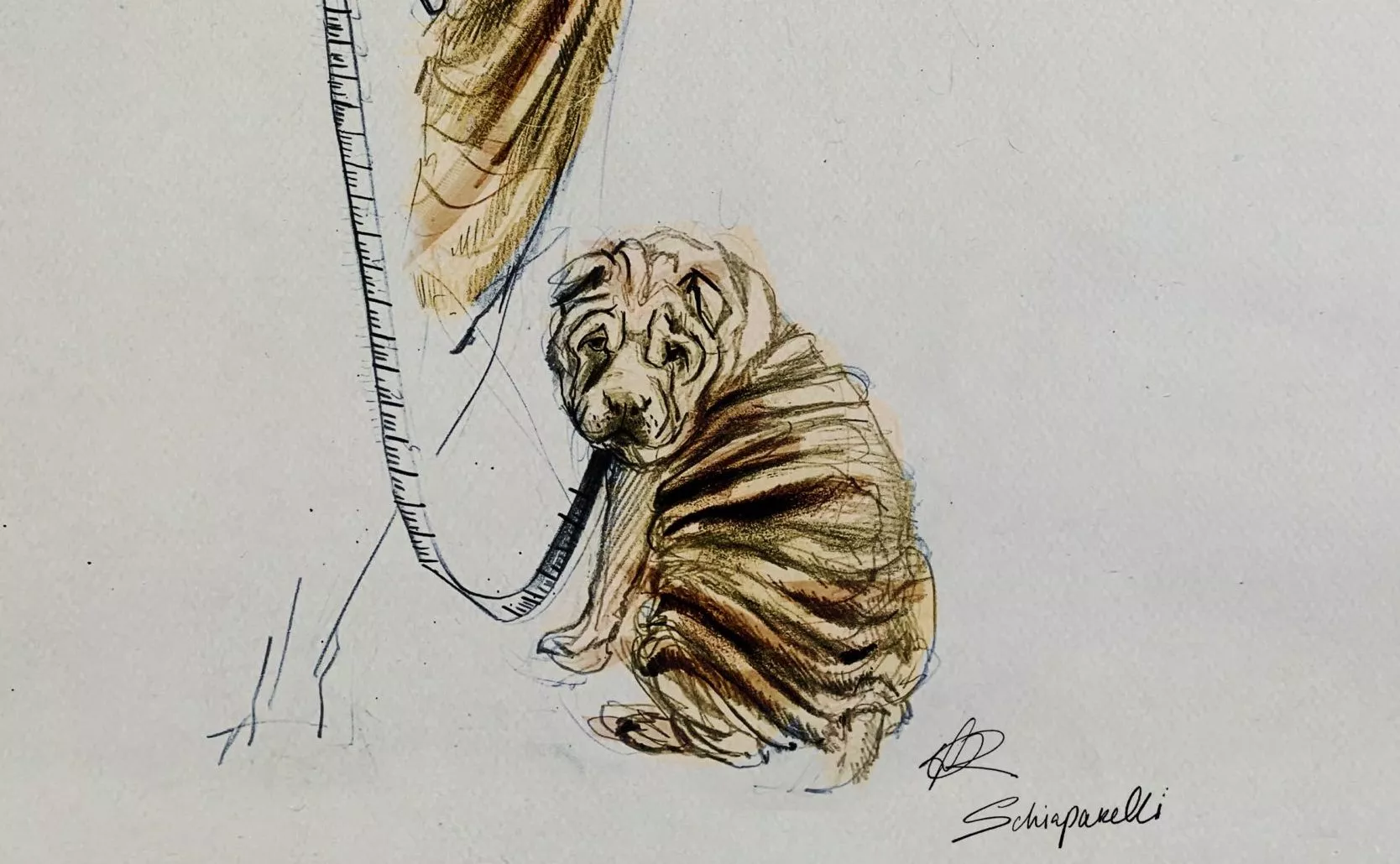 Schiaparelli, dessin et aquarelle