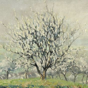 Raymond THIBÉSART (1874-1968) Les pommiers en fleurs
