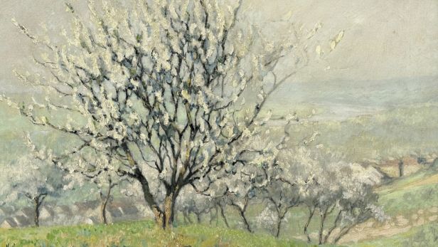 Raymond THIBÉSART (1874-1968) Les pommiers en fleurs