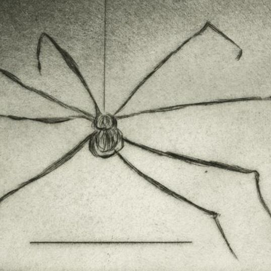 Louise Bourgeois, lithographie