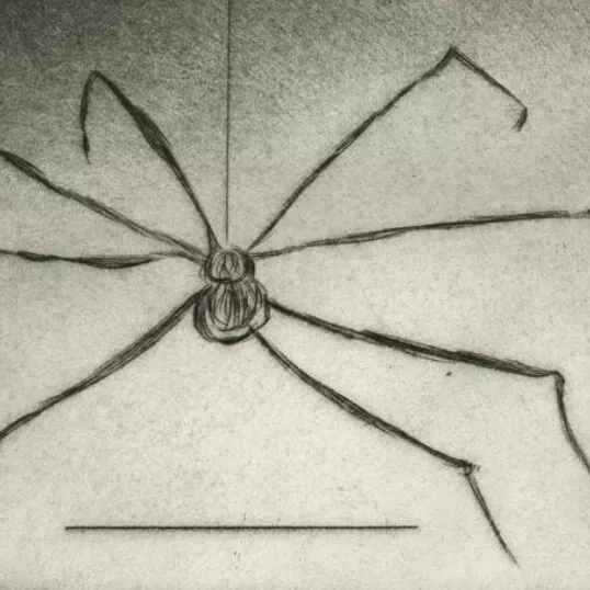 Louise Bourgeois, lithographie